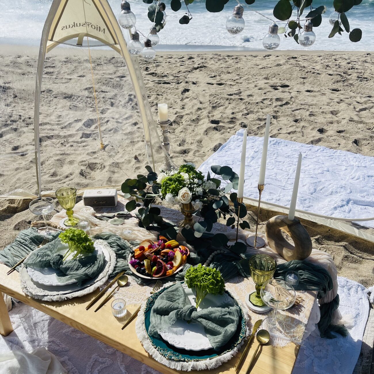 Luxury picnic on the beach LA